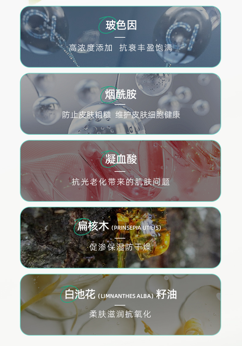 精華_05.jpg